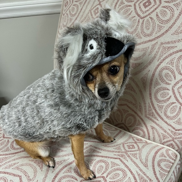 Fury Halloween Costume - Picture 3 of 10